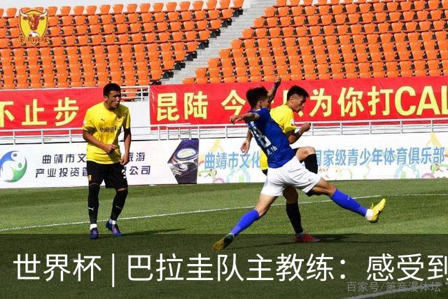 世界杯 | 巴拉圭队主教练：感受到比赛的极致压力