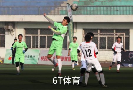 了解6T体育