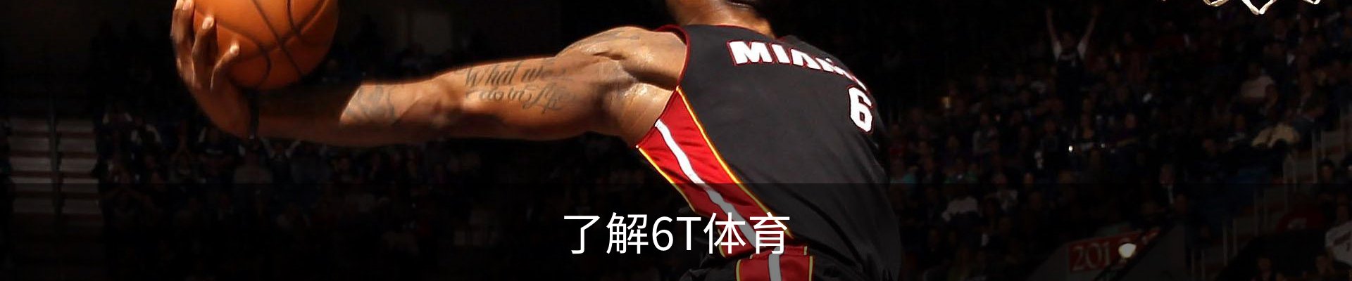 了解6T体育